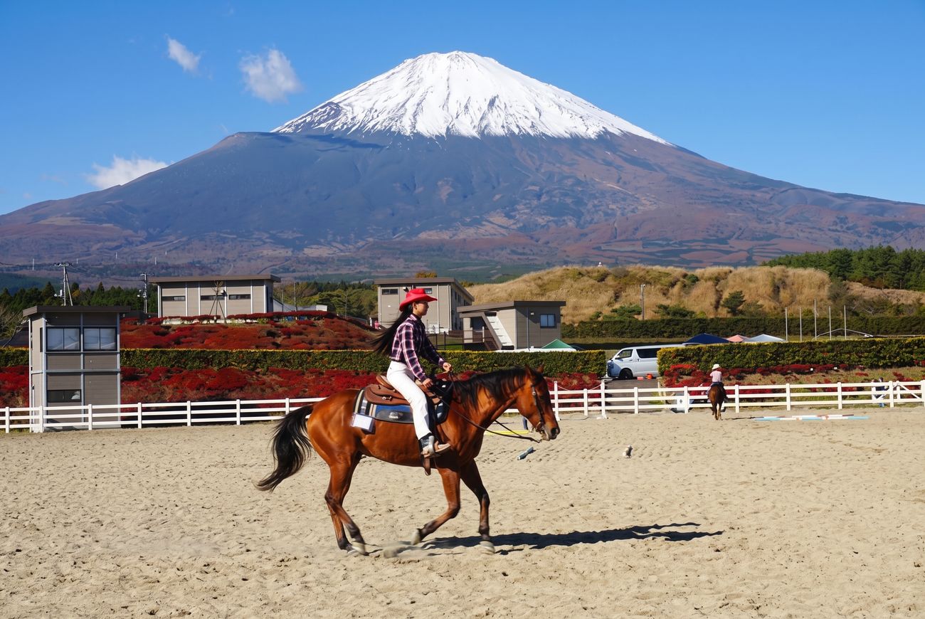 御殿場市馬術・スポーツセンター