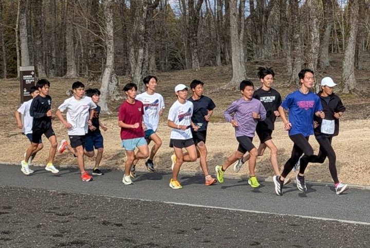 林の中のコースを走る選手たち